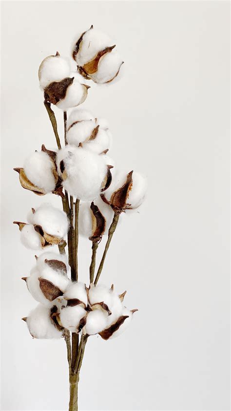 faux cotton stems